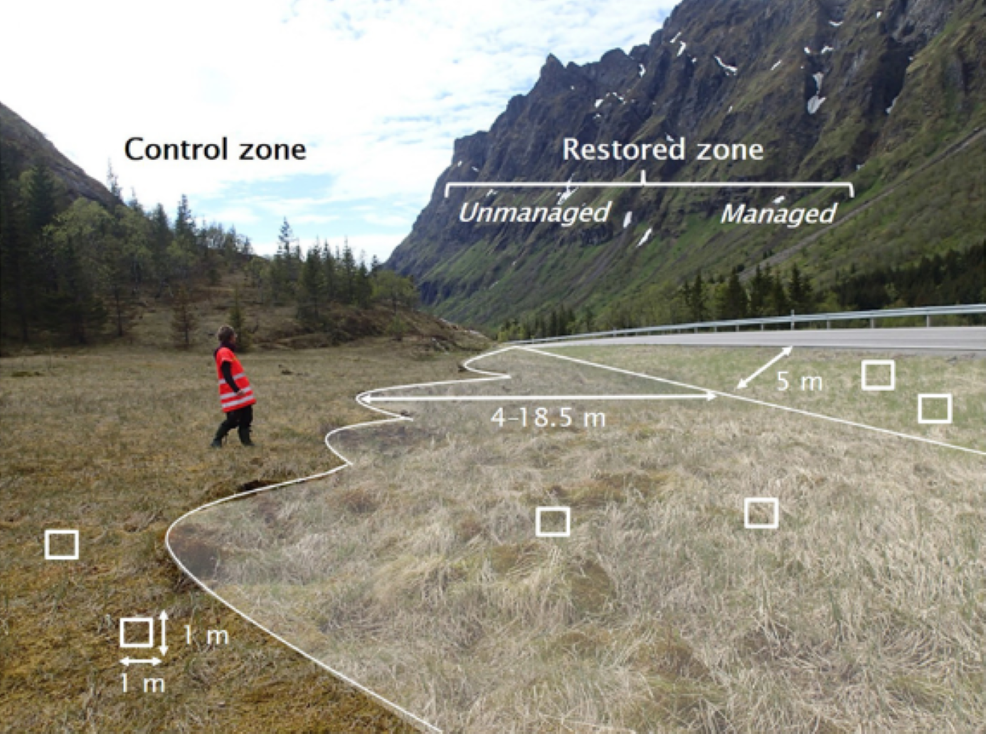 control zone.png